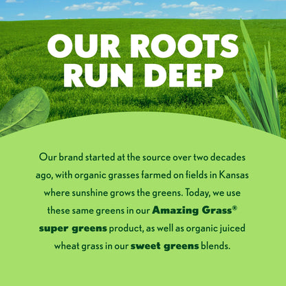 Amazing Grass Sweet Greens & Superfoods Powder – Summer Berry (30 Servings) with Probiotics