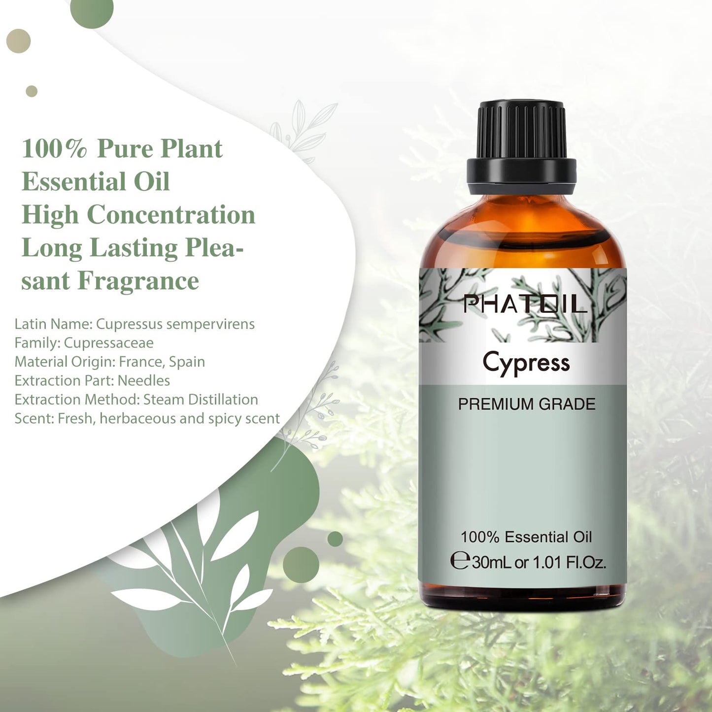 Cypress Essential Oil 30ml | PHATOIL Pure Essential Oil Singles for Aromatherapy Diffusers