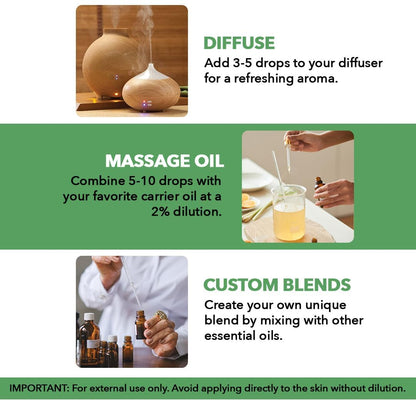 Tea Tree Essential Oil 4 fl oz – Majestic Pure, 100% Pure & Natural, Glass Dropper