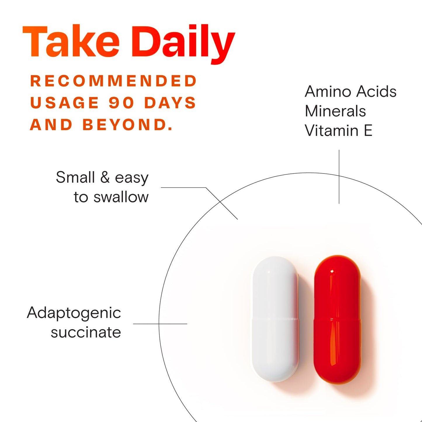 Amberen Menopause Supplement for Women - 60 Capsules | Supports Hormone Balance & 12 Symptom Relief