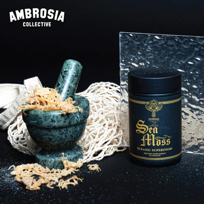 Ambrosia Irish Sea Moss Capsules – 500 mg High Dose | Organic Sea Moss Veggie
