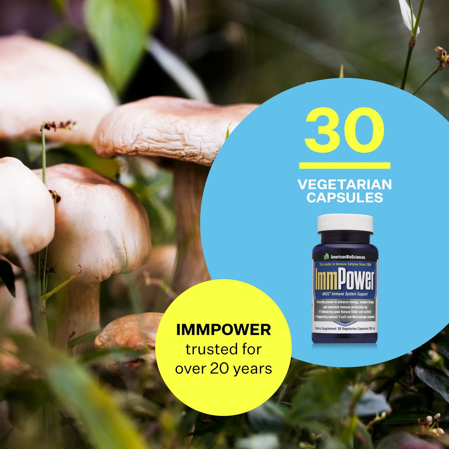 ImmPower AHCC Supplement by American BioSciences - 500 mg, 30 Vegetarian Capsules | Immune Support