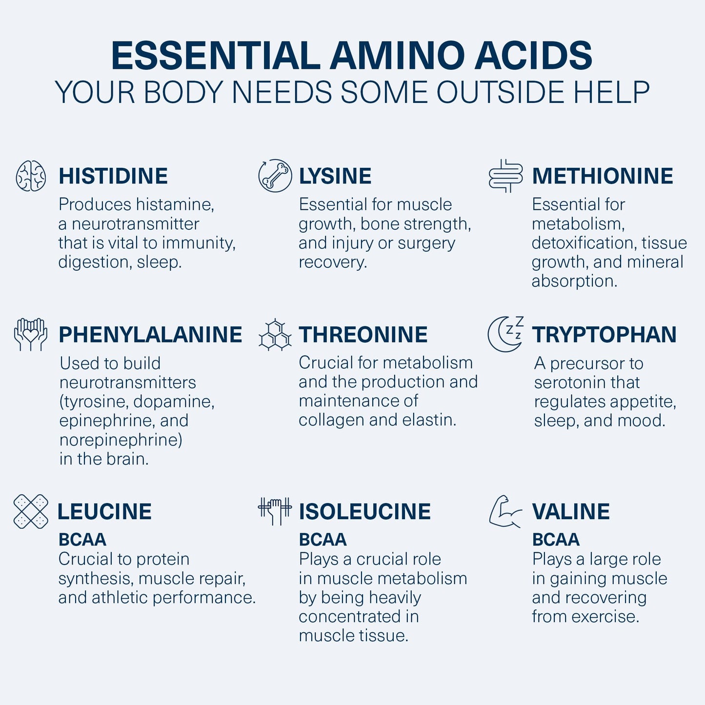 The Amino CO. Purity – Liver Support Supplement with Essential Amino Acids for Liver Detox Cleanse – Boost Liver Health for Optimal Liver Support – Peach Mango, 30 Servings