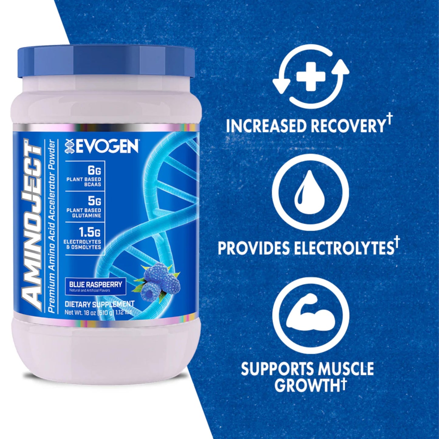 Evogen AminoJect - Premium BCAA Powder & EAA Recovery Formula with Electrolytes | Amino Acids Supplement for Muscle Growth, Hydration, & Recovery | Blue Raspberry | 30 Servings