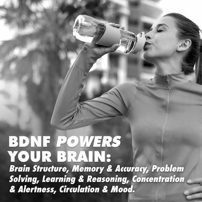 AminoMind Nootropic Collagen for Brain Health | HEALTH DIRECT 14oz
