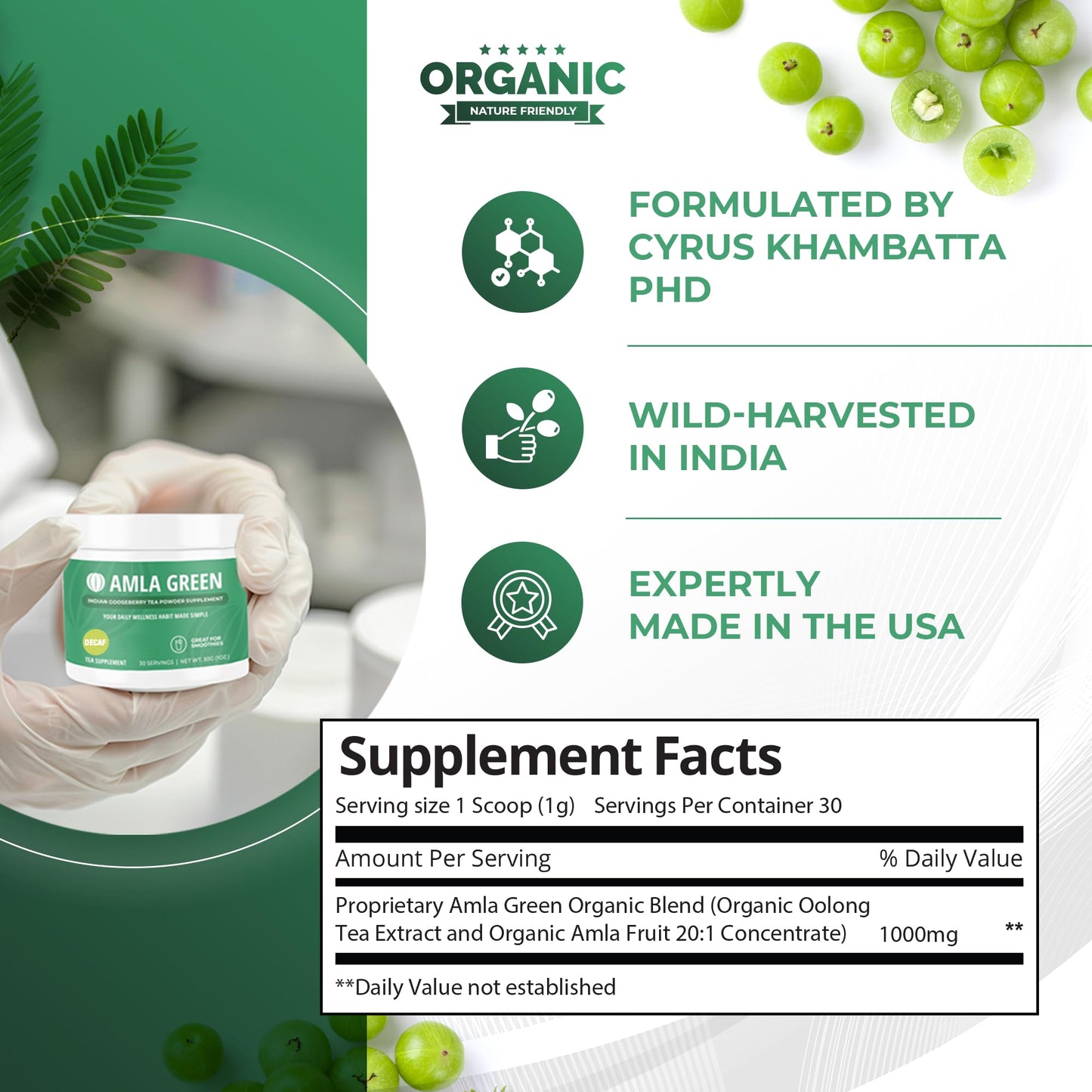 Amla Green: 20x Concentrated Amla Powder + Decaf Green Tea | Organic, Vegan, 90 Servings