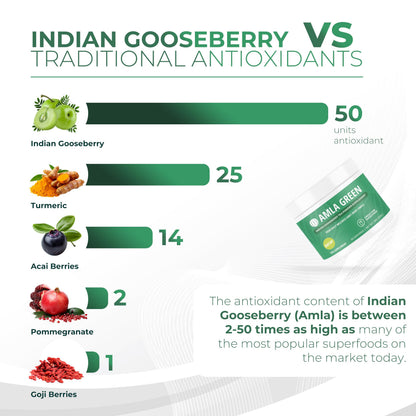 Amla Green: 20x Concentrated Amla Powder + Decaf Green Tea | Organic, Vegan, 90 Servings