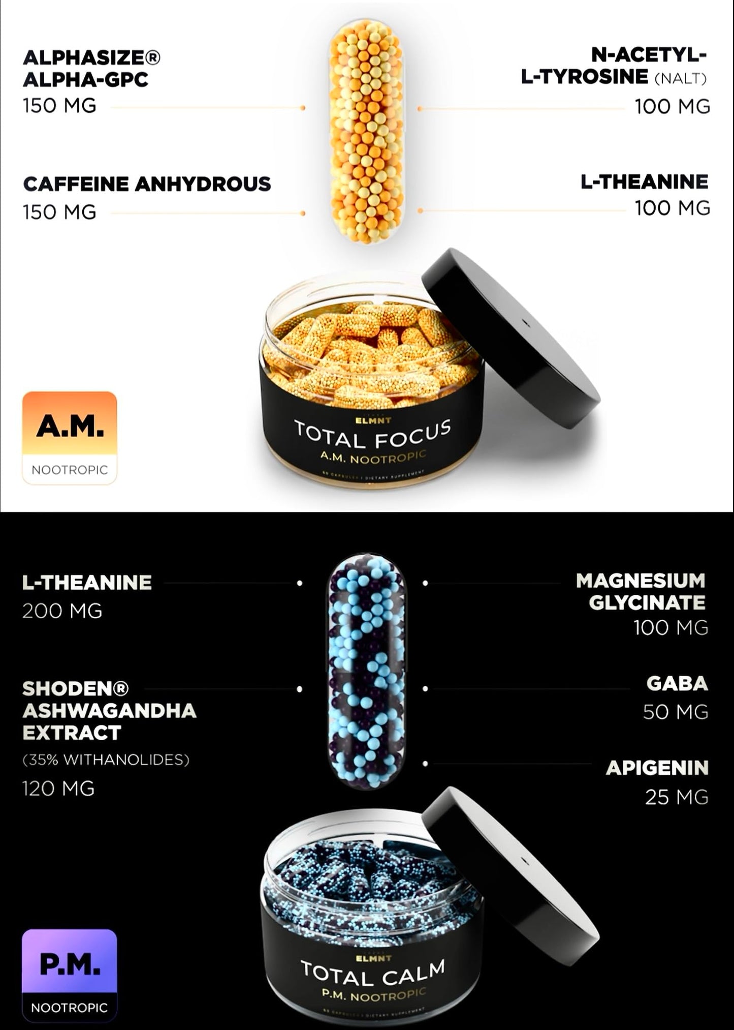 AMPM Nootropic Total Focus + Calm 9X Strength w. Caffeine, L-Theanine, Alpha GPC, L-Tyrosine, Ashwagandha - X-Release Energy Pills Nootropics Brain Support Supplements for Memory and Focus Supplement