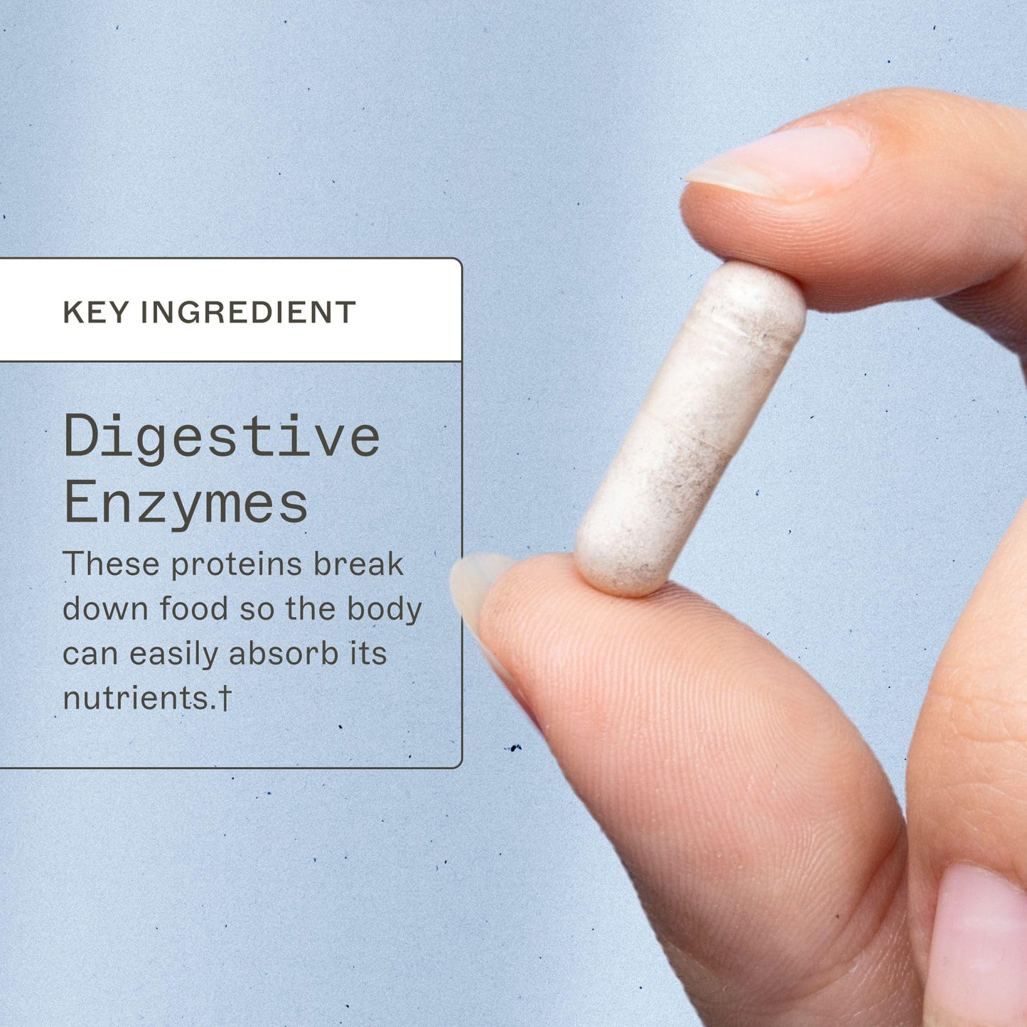 Amy Myers MD Complete Enzymes – Gut Care & Digestive Health (120 Capsules)