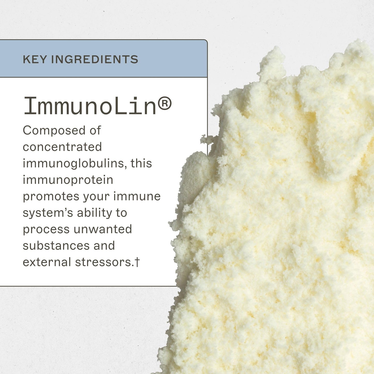 Amy Myers MD ImmuneIG - Dairy-Free Colostrum Alternative for Immune Function & GI Barrier Support | 3.17 oz (30 Servings)