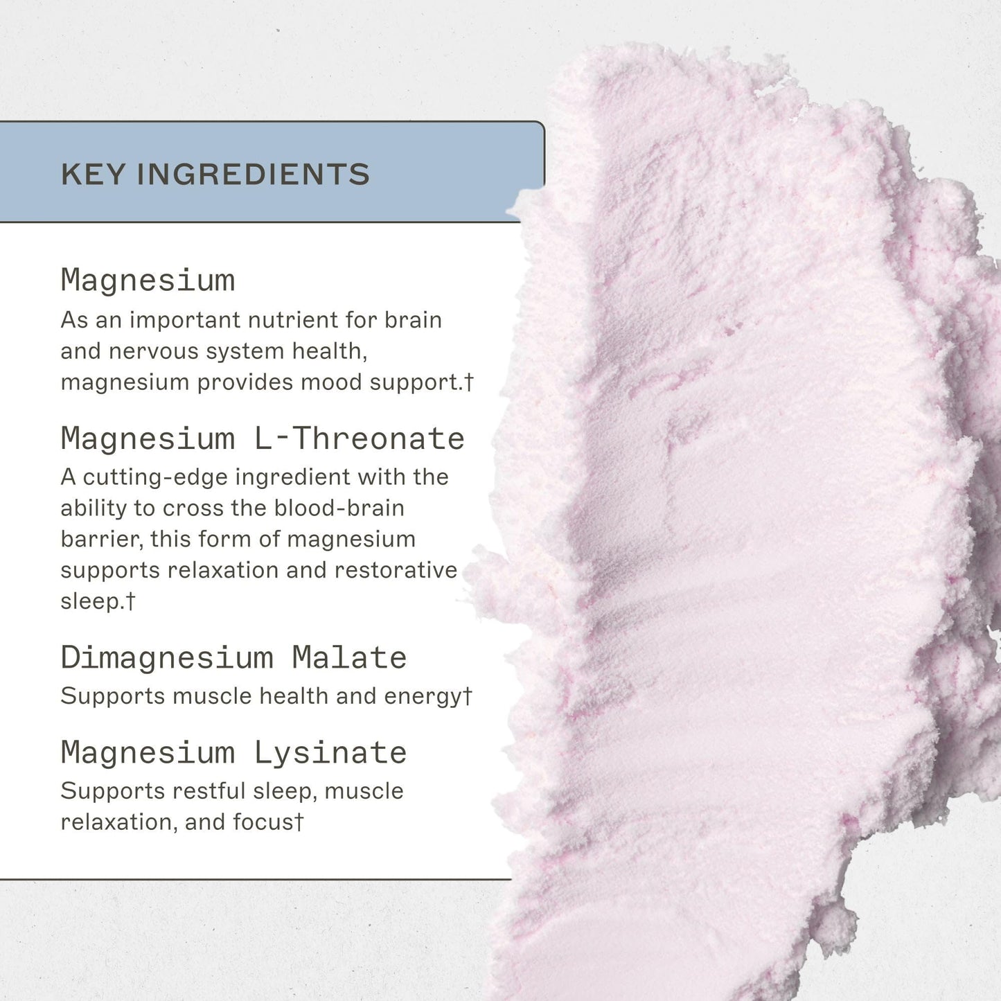 Amy Myers MD NeuroCalm Mag – Magnesium for Brain & Nervous System | Gluten-Free, Dairy-Free, Non-Soy – 30 Servings