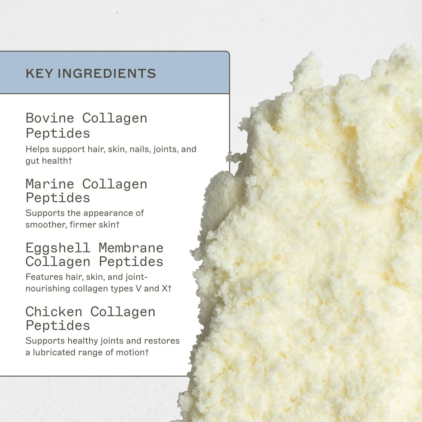 Amy Myers MD Spectrum 5 Collagen Peptides Powder | Daily Collagen for Hair, Skin & Nails (30 Servings)