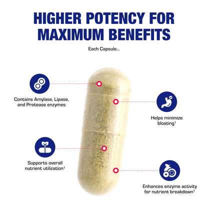 Multi Digestive Enzymes with Ox Bile – Clinical Strength Pancreatic Enzymes for Protein, Carbs & Fat