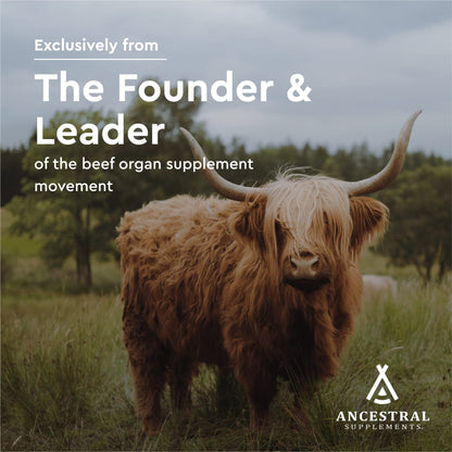 Ancestral Supplements Grass-Fed Beef Pancreas 500mg – Digestive Enzymes, 180 Capsules