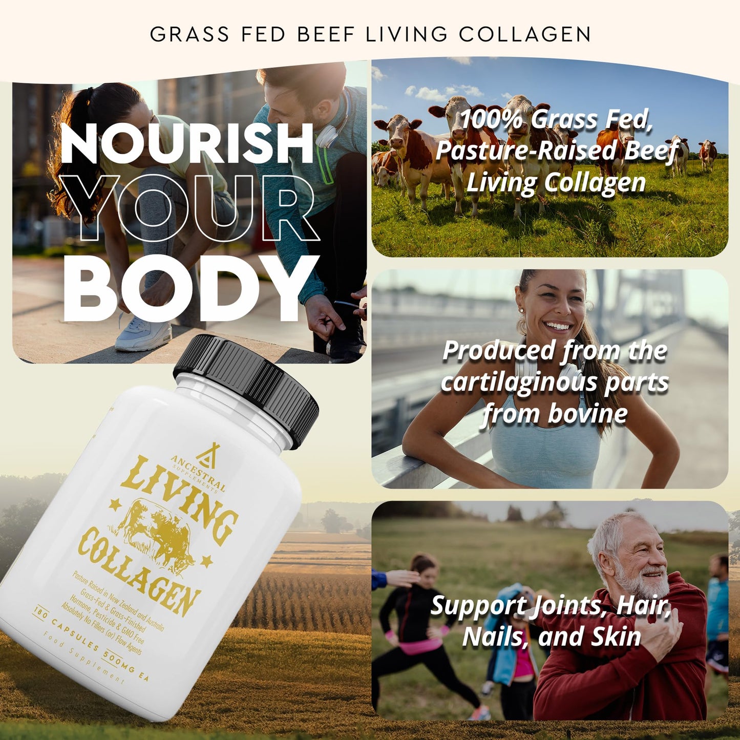 Ancestral Supplements Grass-Fed Beef Living Collagen – 3000mg, 180 Capsules, Type II