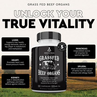 Ancestral Supplements Grass-Fed Beef Organs – Liver, Heart, Kidney, Pancreas, Spleen | 180 Capsules