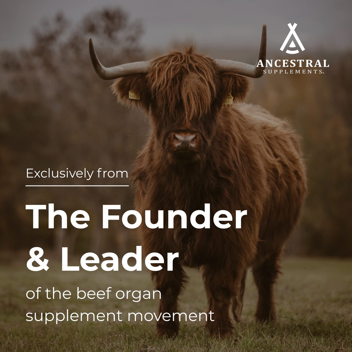 Ancestral Supplements Grass Fed Beef Tracheal Cartilage with Liver – 3000mg, Immune & Joint Support