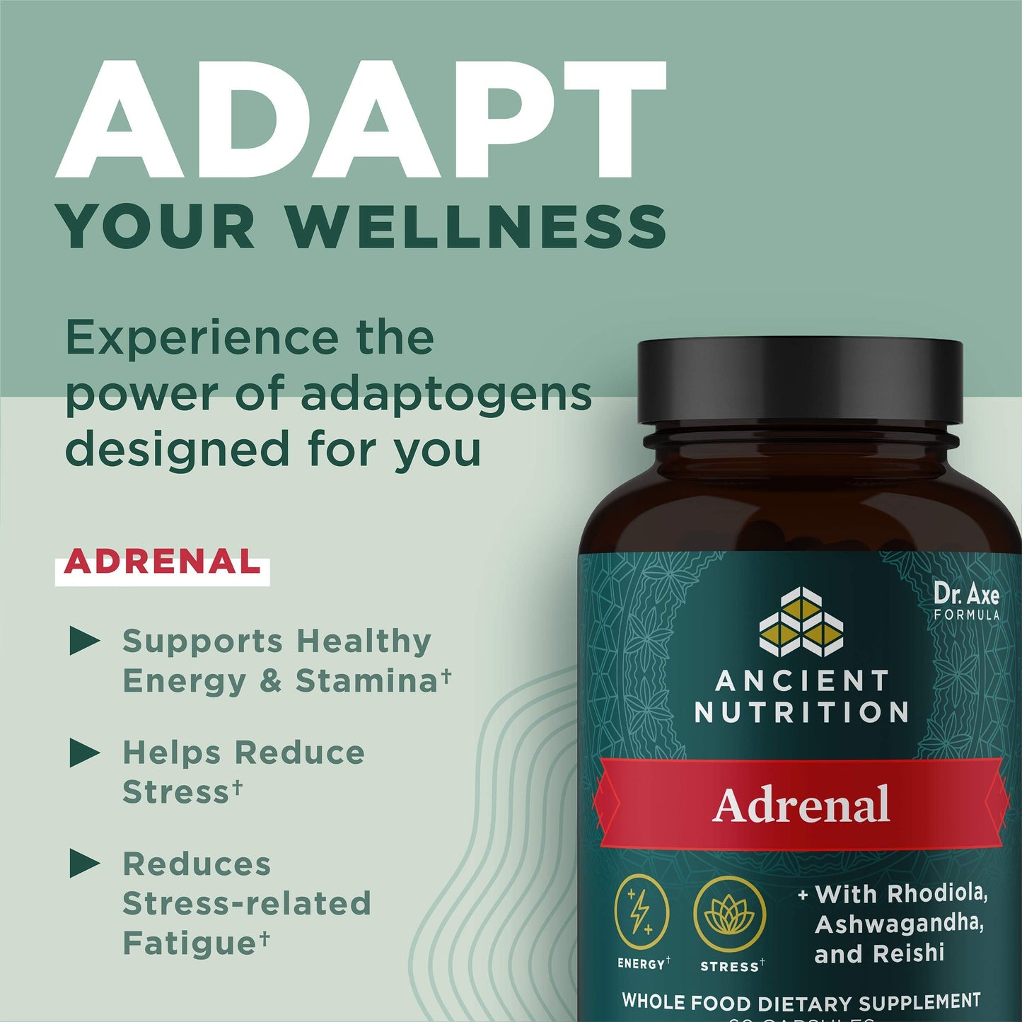 Ancient Nutrition Adrenal Support with Ashwagandha - 60 Capsules, 1300mg (Keto & Paleo Friendly)