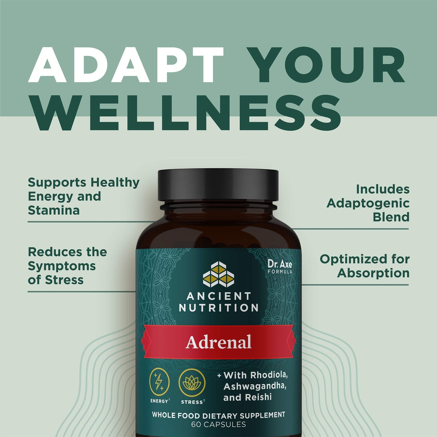 Ancient Nutrition Adrenal Support with Ashwagandha - 60 Capsules, 1300mg (Keto & Paleo Friendly)