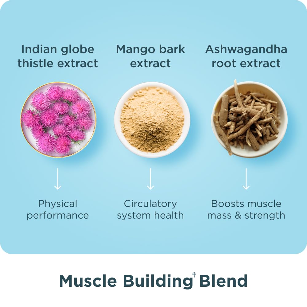 Ancient Nutrition Advanced Multi Collagen Protein Capsules – Muscle Support, 90 Count