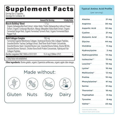Ancient Nutrition Advanced Multi Collagen Protein Capsules – Muscle Support, 90 Count