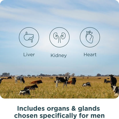 Ancient Nutrition Once Daily Organs for Men – Grass-Fed & Wild Organ Complex (30 Ct)