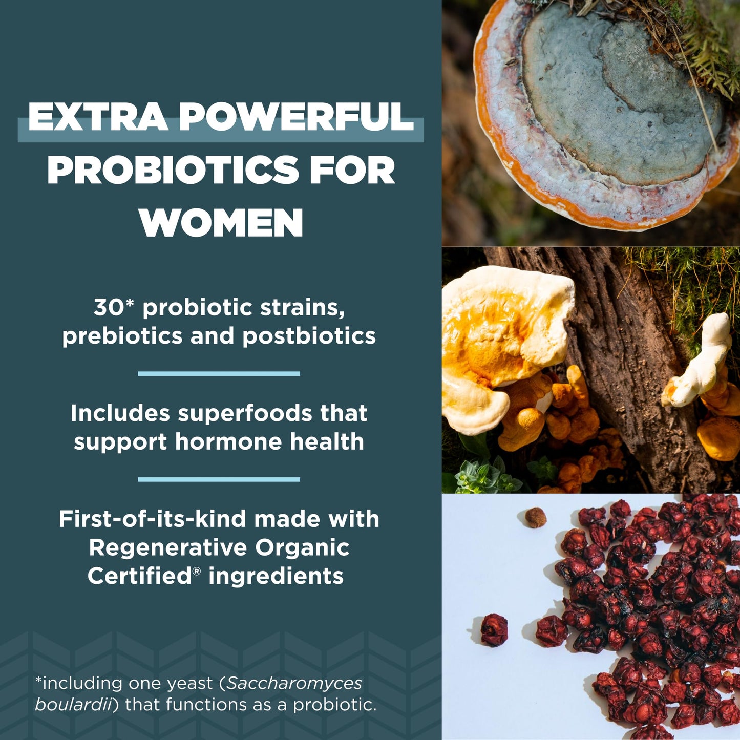 Ancient Nutrition Regenerative Organic Probiotics for Women – 25B CFUs, 60 Count