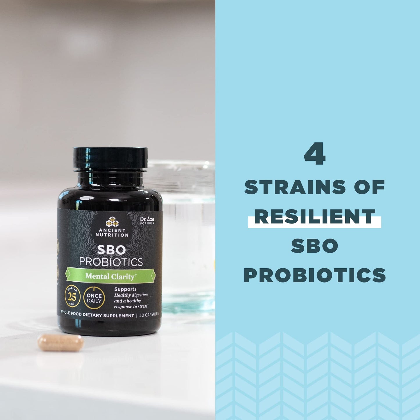 Ancient Nutrition Probiotics for Mental Clarity – Once Daily 30 Count, 25 Billion CFUs