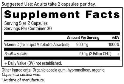 Ancient Nutrition Probiotics & Vitamin C – Immune and Gut Health