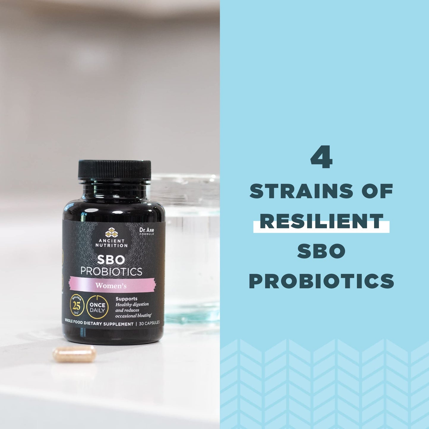 Ancient Nutrition Probiotics for Women – Once Daily 30 Count | 25 Billion CFU Digestive Support