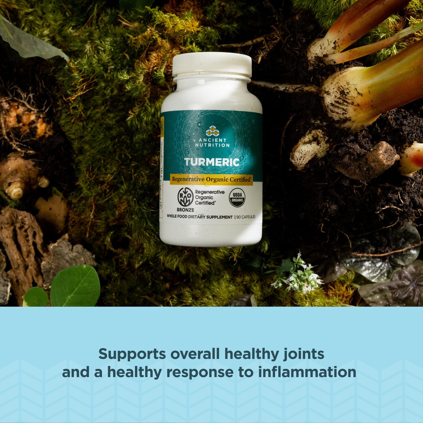 Ancient Nutrition ROC Turmeric Capsules – Joint Support, Inflammation, 90 Count