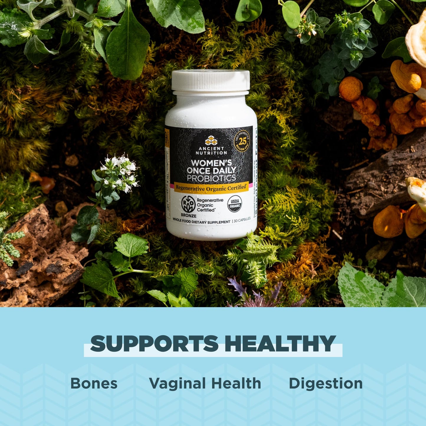 Ancient Nutrition Regenerative Organic Probiotics for Women – 25B CFUs, Once Daily, 30 Count