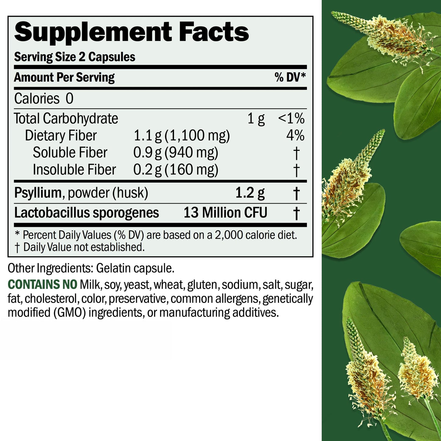 ANDREW LESSMAN Fibermucil 1000 Capsules – Psyllium Husk Fiber for Digestive Health