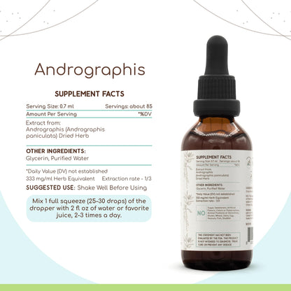 Andrographis B60 Alcohol-Free Herbal Tincture 2 fl oz | Fah Talai Jone & Chuan Xin Lian