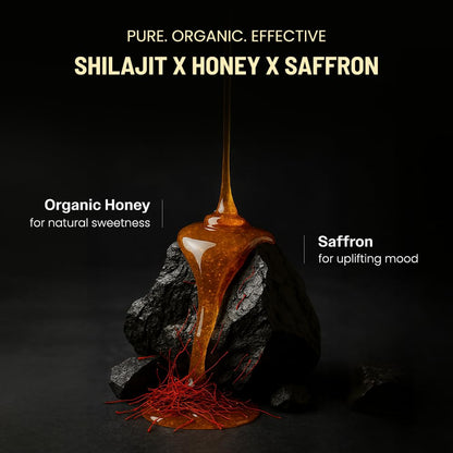 ANECDOTE Himalayan Shilajit Honey Sticks with Organic Honey & Saffron — Boosts Stamina, Immunity & Focus | 75% Fulvic Acid, 85+ Minerals | 30 Sticks