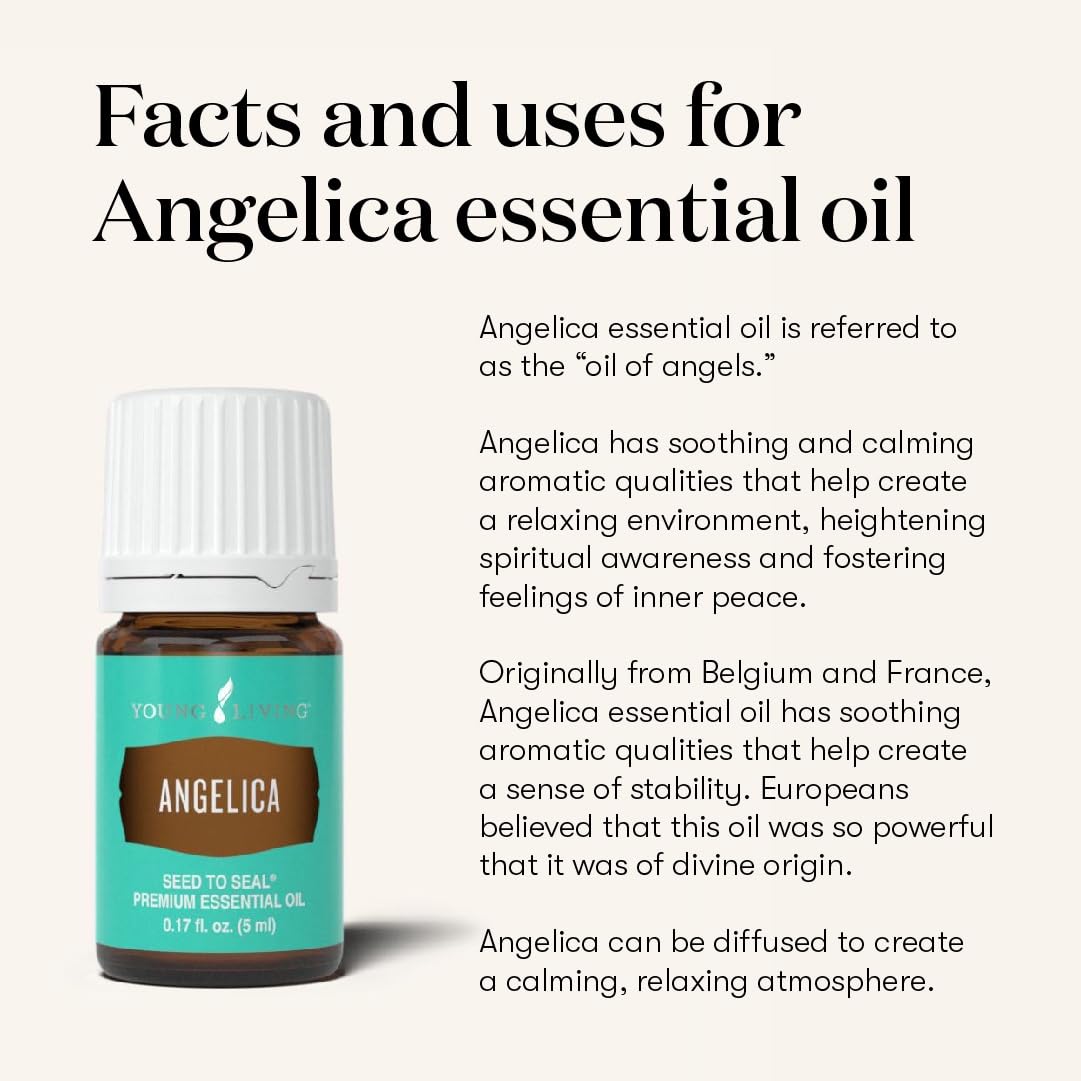 Young Living Angelica Premium Essential Oil – Calming Aromatic Diffuser Blend (5ml)