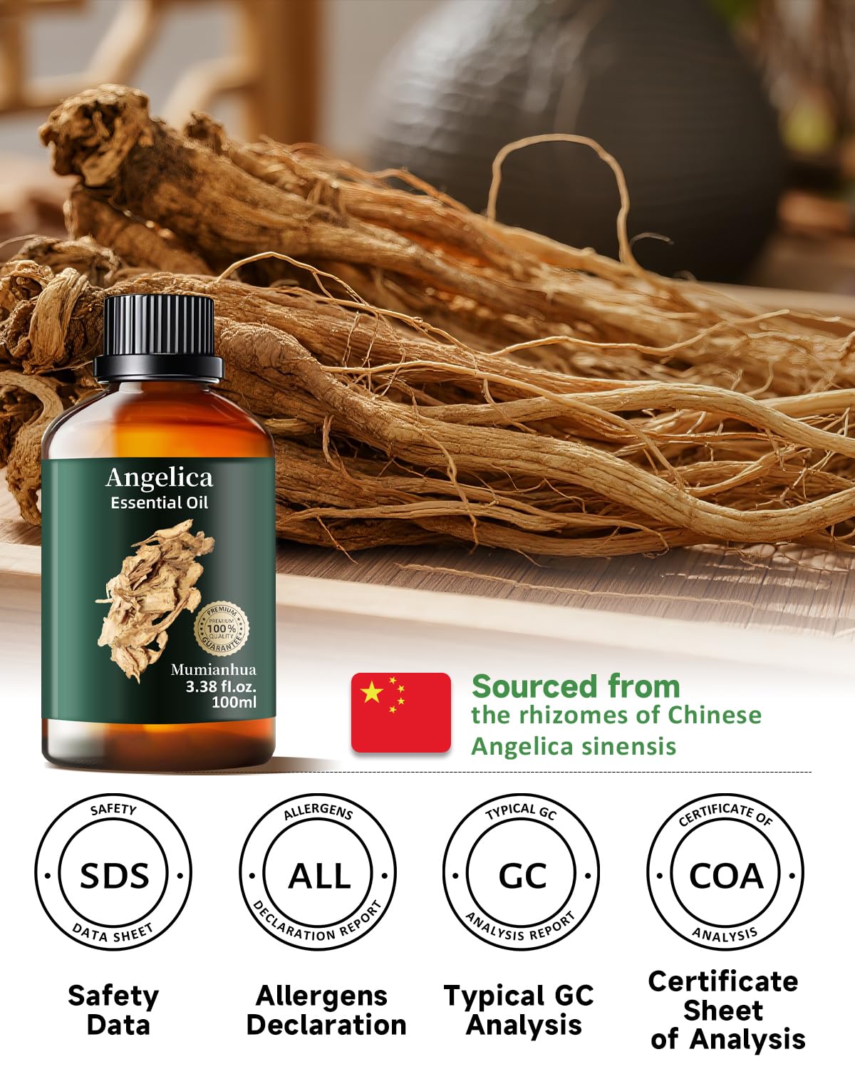 Angelica Root Essential Oil Pure Mumianhua Natural Angelica Oil for Diffuser, Aromatherapy, Skin, Hair, Massage & Candle Making 3.38 Fl Oz