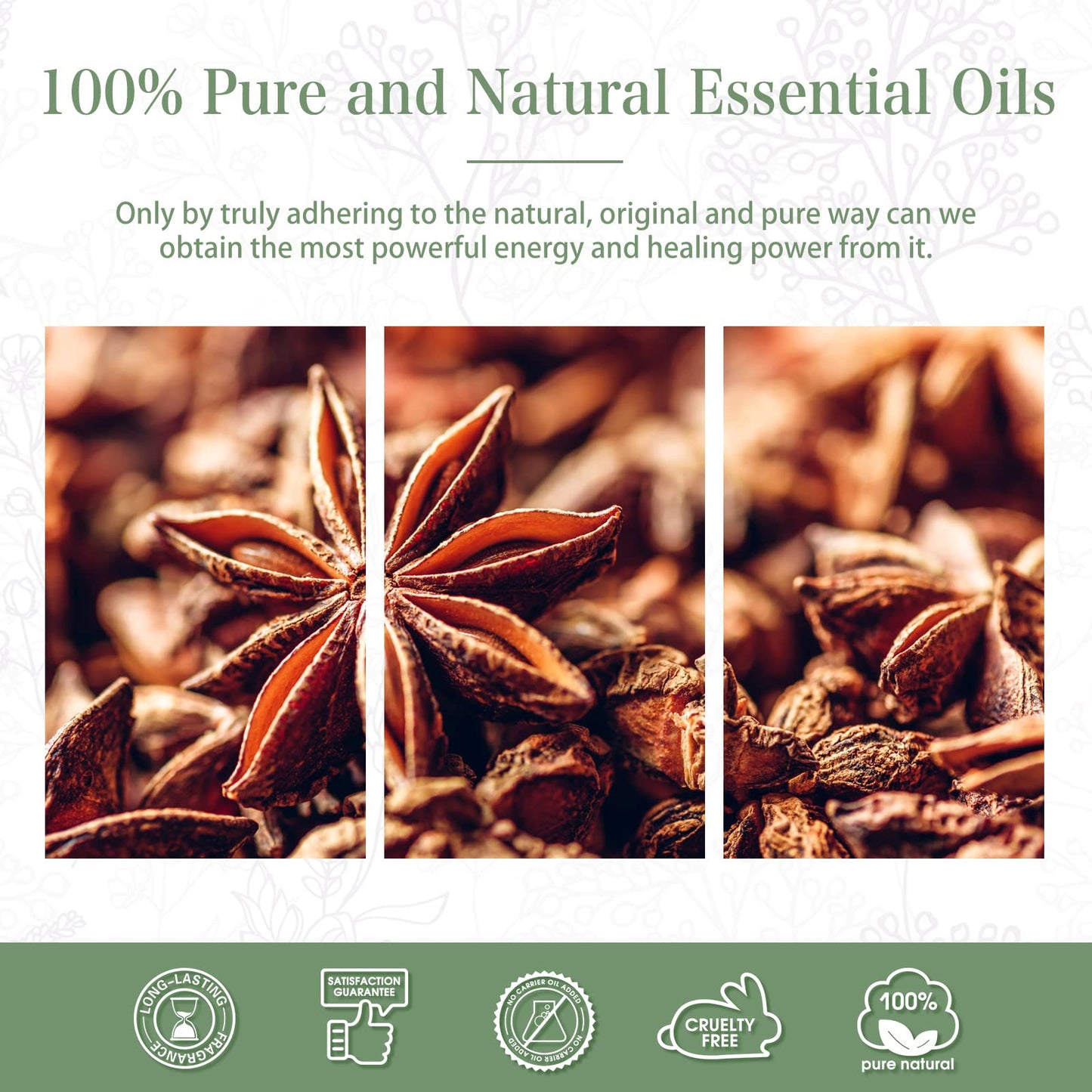 Anise Star Essential Oil 30ml (1.01 fl oz) | PHATOIL Pure Aromatherapy for Diffusers, DIY Soap & Candles