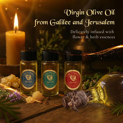 Anointing Oil for Prayer – 3 Bottles (10ml each) | The Original Bible Perfumes – Lion of Judah, King David & King Solomon | Made in The Holy Land | Ein Gedi