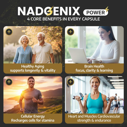 Product Maxx NADGENIX NAD+ Supplement – NMNH 500mg, Liposomal Delivery, 60 Caps