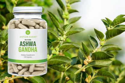 Antler Farms Ashwagandha 130 Capsules | 1200mg, 5% Withanolides