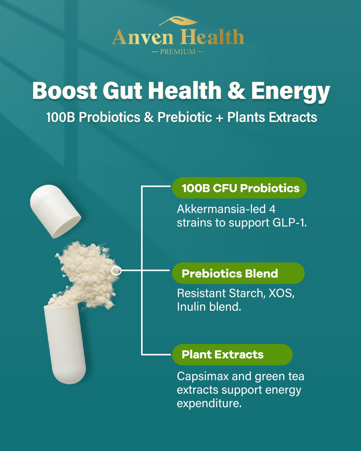 Anven Health GLP-1 Supplement — 100 Billion Akkermansia Probiotic & Prebiotic for Gut Health, Digestion & Metabolism