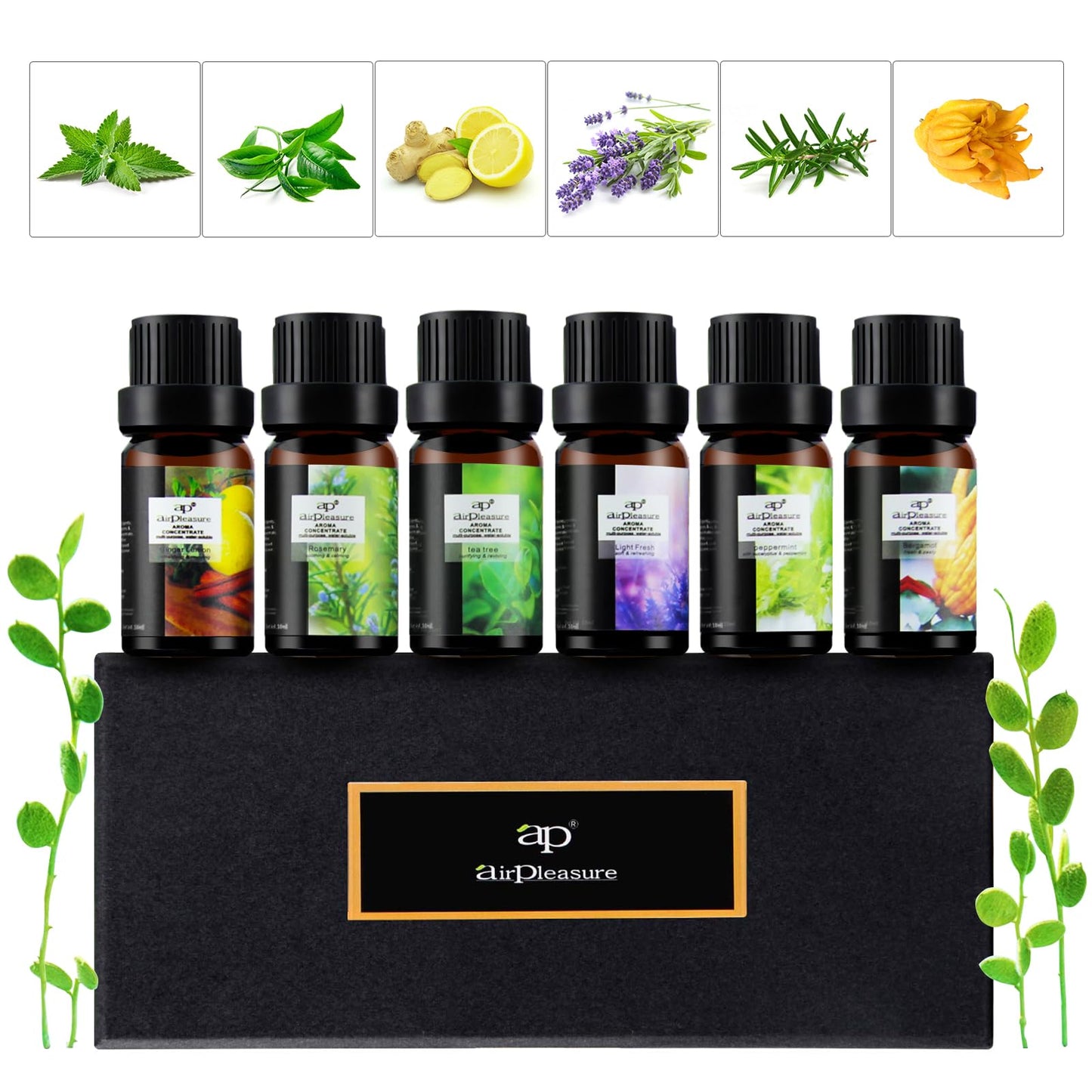 ap airpleasure Fresh Essential Oils Set – 6x10ml Aromatherapy Oil Gift Kit