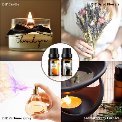 ap airpleasure Refresh Essential Oils Set — 6x10ml for Diffuser, Humidifier & Aromatherapy