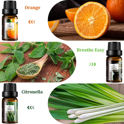 ap airpleasure Refresh Essential Oils Set — 6x10ml for Diffuser, Humidifier & Aromatherapy