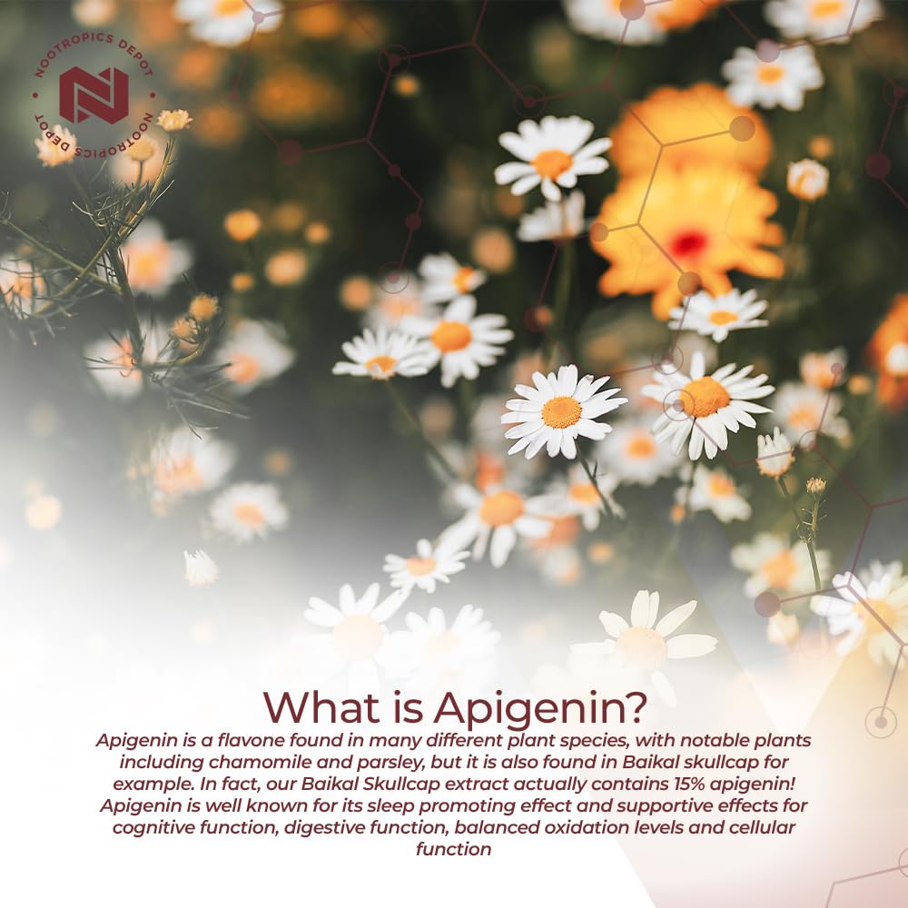 Nootropics Depot Apigenin Capsules 200mg | 30 Count