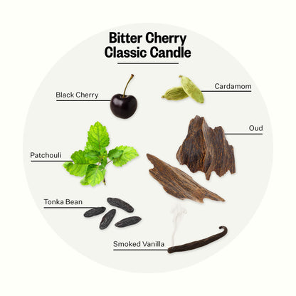 Apotheke Bitter Cherry Signature Scented Candle – 10.5 oz Soy Wax, Non-Toxic, Large Jar | Cardamom, Oud, Patchouli