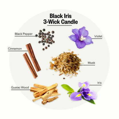 APOTHEKE 3-Wick Scented Candle – Black Iris Oak, 26 oz Soy Jar | Aromatherapy Gift