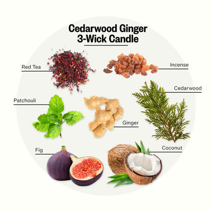 Apotheke 3-Wick Cedarwood Ginger Soy Jar Candle – 26 oz Gift for Women