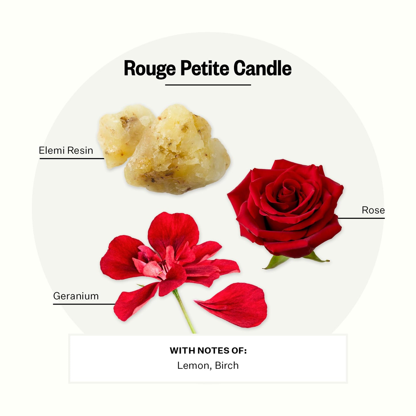 Apotheke Charcoal Rouge Petite Aromatherapy Soy Jar Candle | Luxury Scented